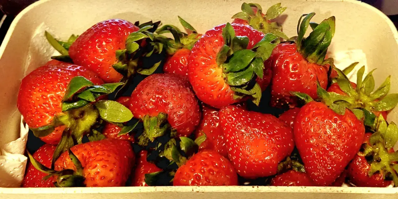 Un tazón lleno de jugosas fresas rojas, listas para ser bañadas en dulce leche condensada.