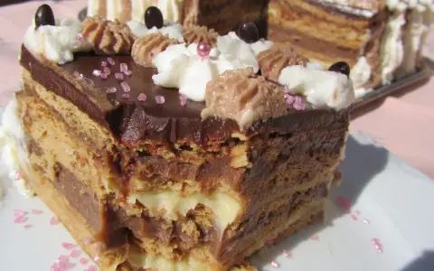 Delicioso postre Thermomix en capas de bizcocho y crema de chocolate, decorado con nata y granillo rosa.