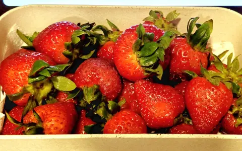 Un tazón lleno de jugosas fresas rojas, listas para ser bañadas en dulce leche condensada.