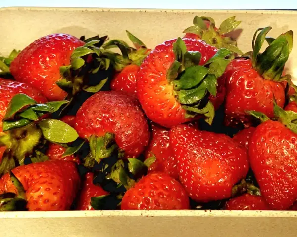 Un tazón lleno de jugosas fresas rojas, listas para ser bañadas en dulce leche condensada.